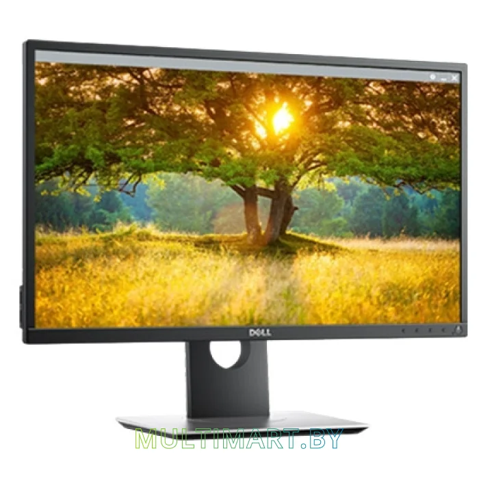 Монитор Dell P2417H